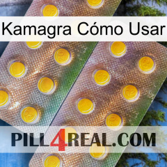 Kamagra Cómo Usar new10